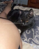 Анкета проститутки Ирина - метро Теплый Стан, возраст - 23